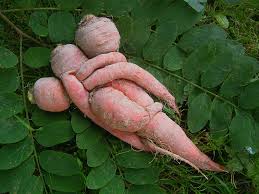 Calin de légumes ( :shock: )