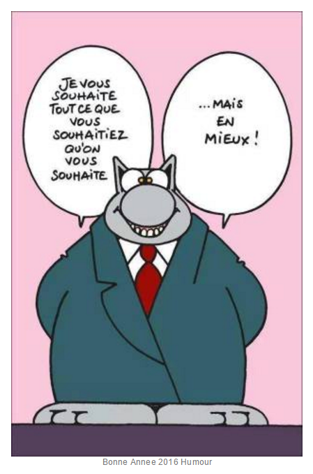 bonne année gentil.PNG